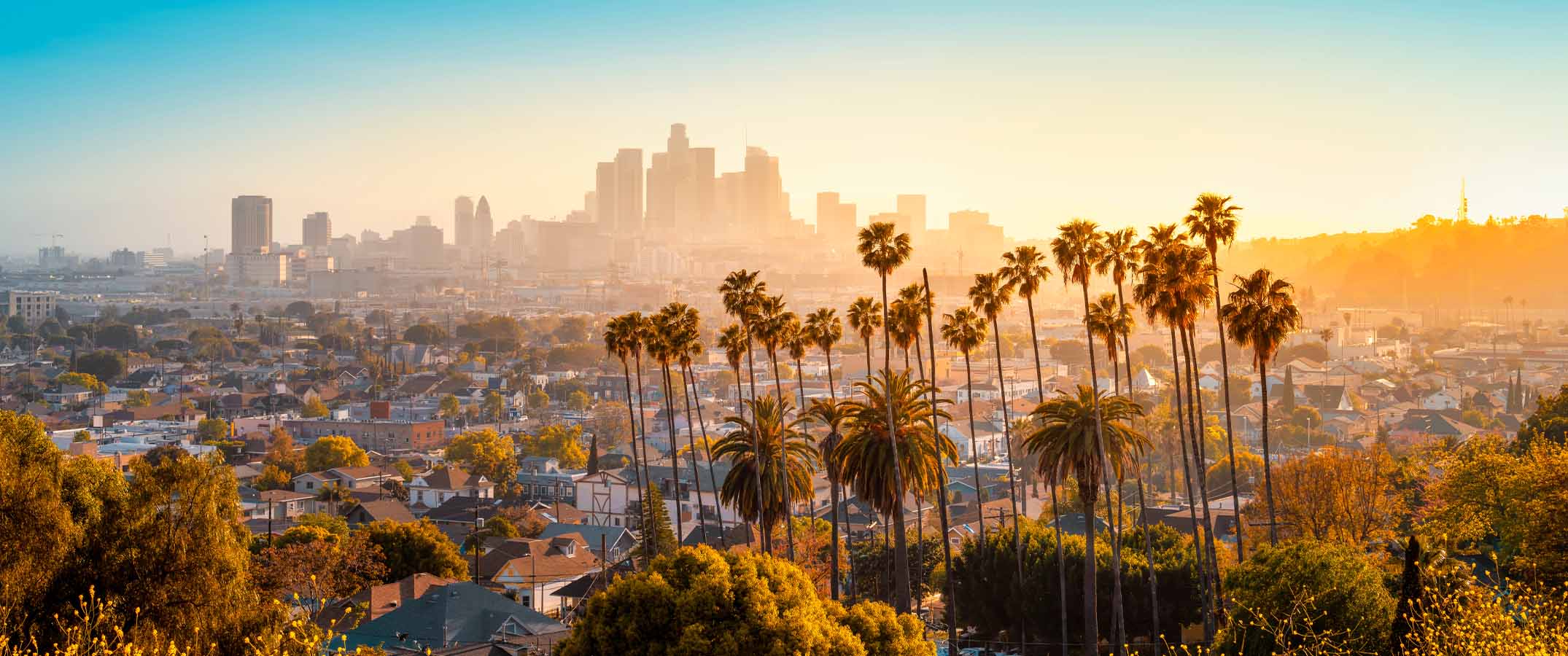 A landscape picture of LA in the distance and palm trees up close. Image has a hazy, warm feel.