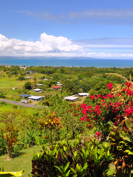 Photo shows a green island landscape with the ocean in the background.