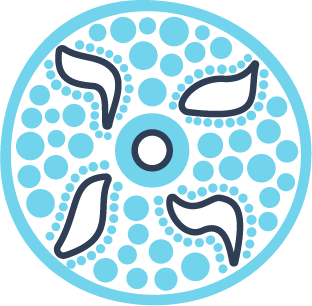 Image shows an icon representing First nations health.