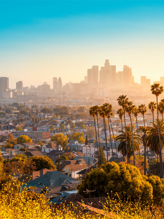 Photo shows Los Angeles at a distance late afternoon.