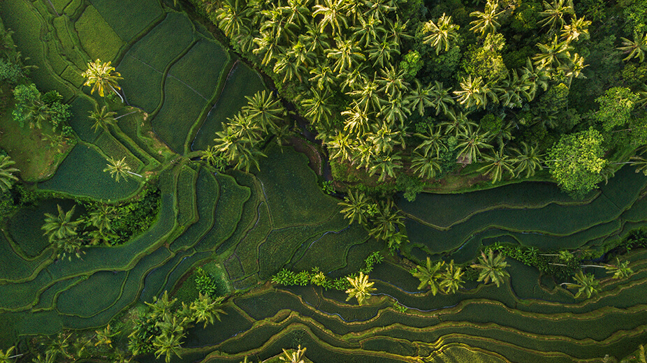 Aerial image of area in Indonesia.